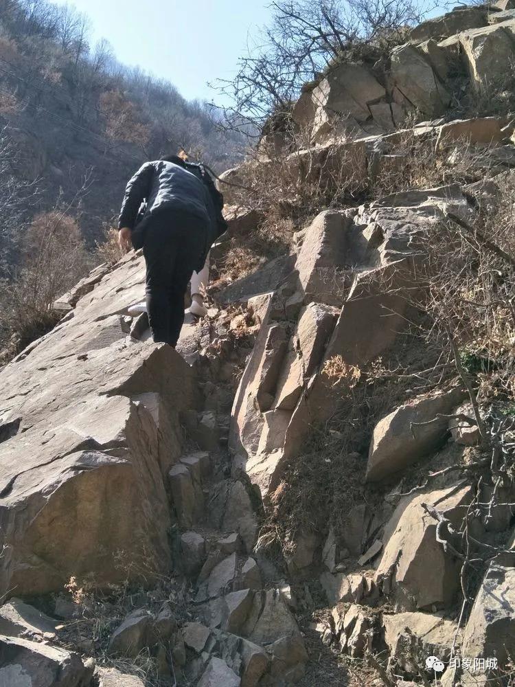 晋城最新疫情下的科技防护重塑体验