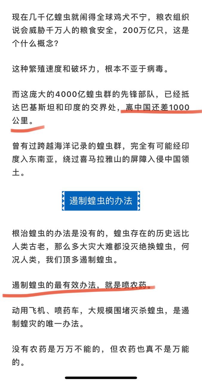 非洲蝗虫最新动态，沙漠冒险中的意外友情