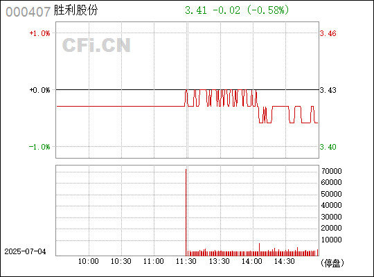 胜利股份最新股票动态，深度分析与观点阐述