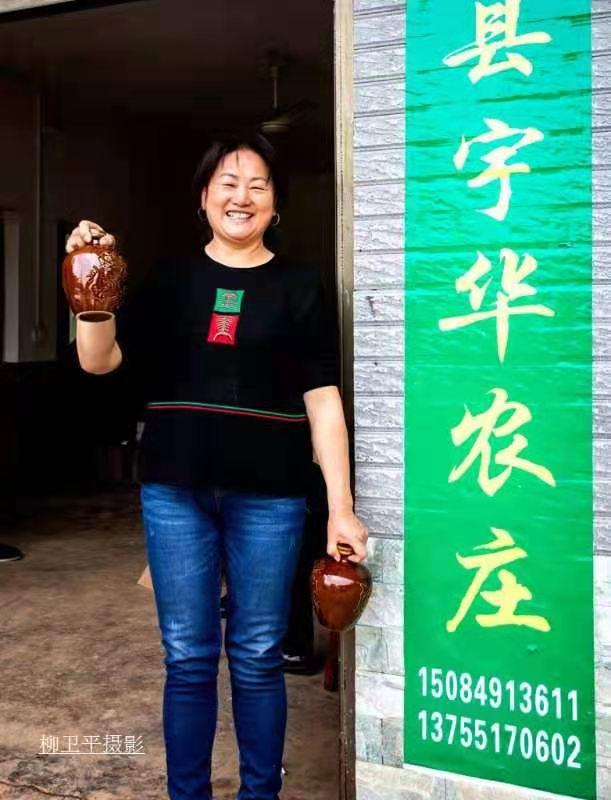 龙港湿地公园最新动态更新，最新消息一览