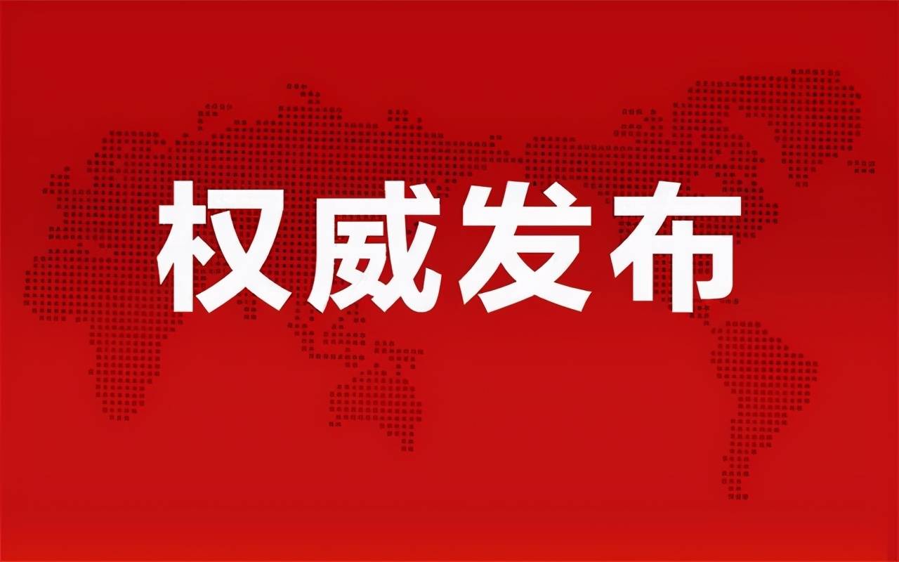 定陶弃婴事件最新进展，深度分析与观点阐述