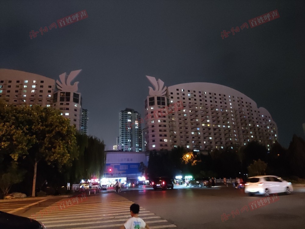 洛龙区龙跃一期最新发展论述摘要，最新动态与前景展望