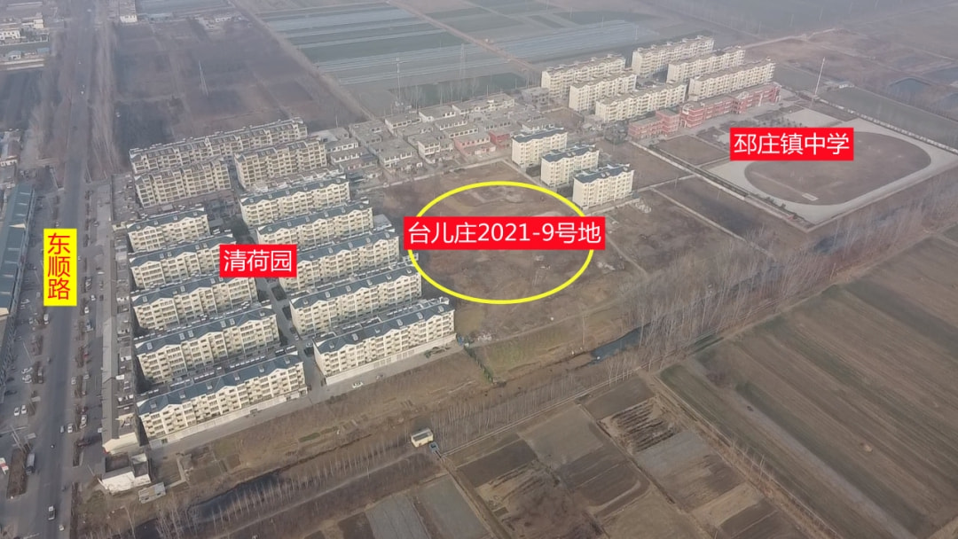 台儿庄万庄东三里，日常趣事与真挚友情的最新展现