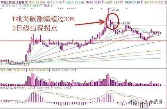 股票入门知识解析，投资起点与误区探索