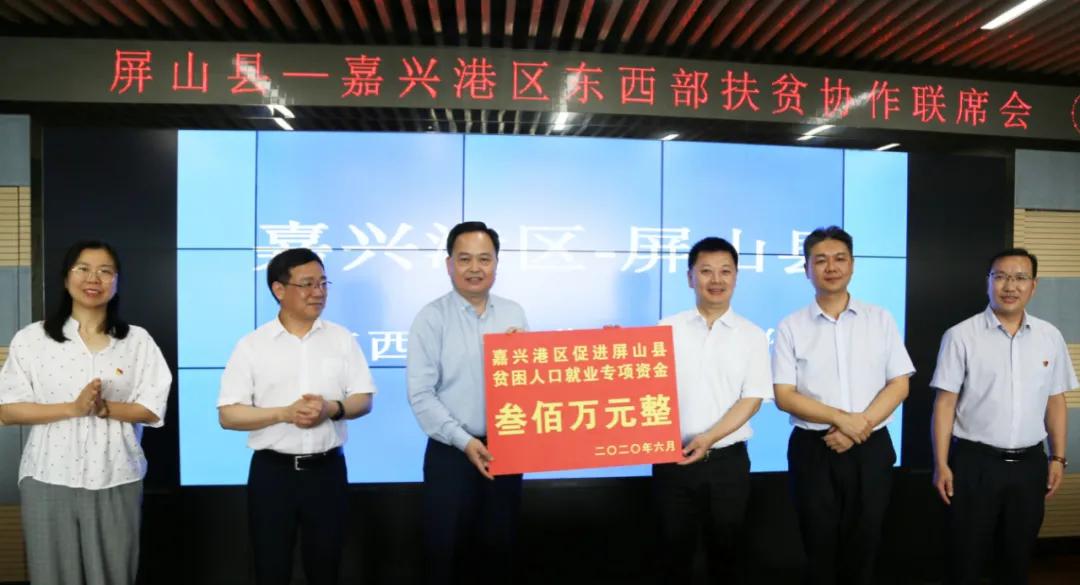 嘉兴港区蜕变记，港口新貌与学习带来的自信与成就感