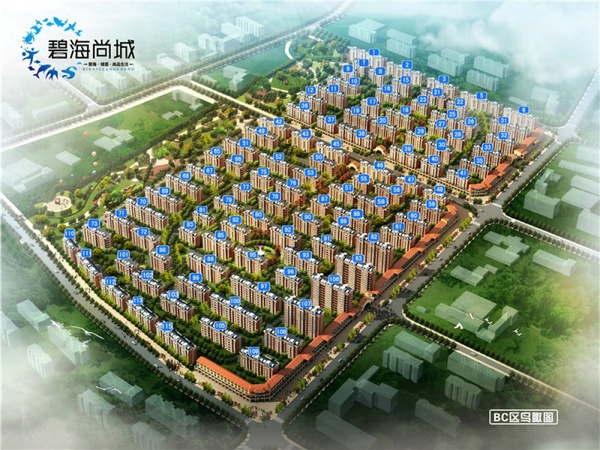 龙口碧海尚城最新房价揭秘与小巷深处的惊喜探索